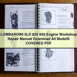 Lombardini LD Series 5LD 825 930 Engine All Models Covered Service Repair Workshop Manual PDF