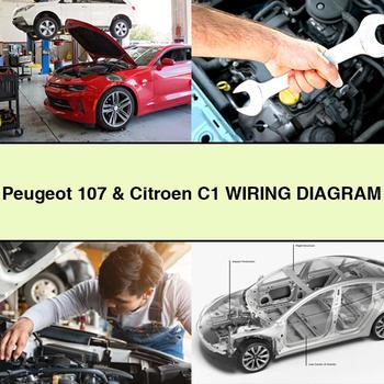 Citroen C1 Peugeot 107 Diagram Electrical Wiring Diagrams PDF