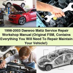 1998-2003 Daewoo Matiz (original FSM ) Service Repair Workshop Manual PDF