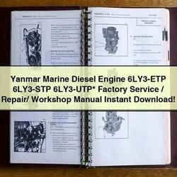 Manual de Servicio y Reparación Yanmar 6LY3-ETP, 6LY3-STP, 6LY3-UTP