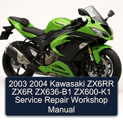 2003 2004 Kawasaki ZX6RR ZX6R ZX636-B1 ZX600-K1 Service Repair Workshop Manual 