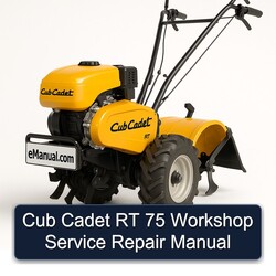 Cub Cadet RT 75 Service Repair Workshop Manual PDF