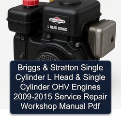 2009-2015 Briggs And Stratton Single Cylinder L Head OHV Engines Service Repair Workshop Manual PDF