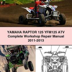 Yamaha RAPTOR 125 YFM125 ATV Complete Workshop Repair Manual 2011-2013 