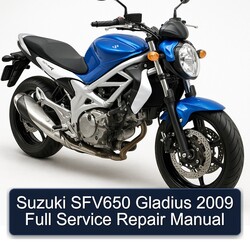 2009 Suzuki SFV650 Gladius Service Repair Workshop Manual PDF