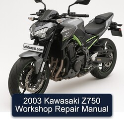 2003 Kawasaki Z Series Z750 Service Repair Workshop Manual PDF