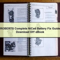Roberts Nicad Battery Fix DIY Service Repair Workshop Manual PDF
