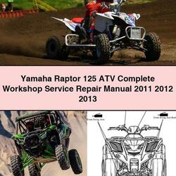 Yamaha Raptor 125 ATV Complete Workshop Service Repair Manual 2011 2012 2013 