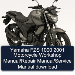 2001 Yamaha FZS Models 1000 Motorcycle Service Repair Workshop Manual PDF