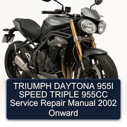 2002 Triumph Speed Triple Daytona 955I 955CC Onward Service Repair Workshop Manual PDF
