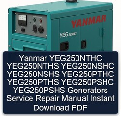 Yanmar YEG250NTHC YEG250NTHS YEG250NSHC YEG250NSHS YEG250PTHC YEG250PTHS YEG250PSHC YEG250PSHS Generators Service Repair Workshop Manual PDF