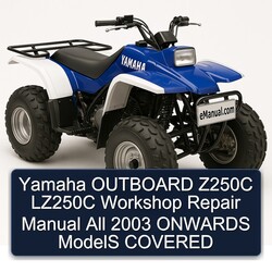 2003 Yamaha Outboard Z250C LZ250C All Onwards Models Covered Service Repair Workshop Manual PDF