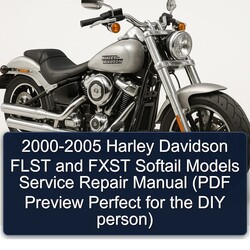 2000-2005 Harley Davidson Softail Flst Fxst Models ( Preview Perfect DIY Person) Service Repair Workshop Manual PDF