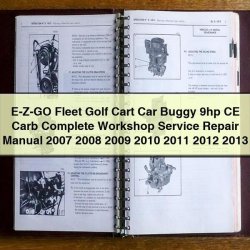 2007-2013 E Z GO E-z-go Fleet Golf Cart Car Buggy 9HP CE Carb Service Repair Workshop Manual PDF