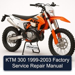 1999-2003 KTM 300 Service Repair Workshop Manual PDF