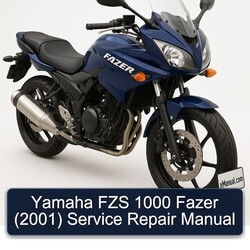 2001 Yamaha Fazer FZS 1000 Service Repair Workshop Manual PDF