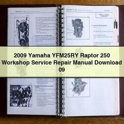 2009 Yamaha YFM25RY Raptor 250 09 Service Repair Workshop Manual PDF