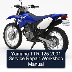 2001 Yamaha TTR Models 125 Service Repair Workshop Manual PDF