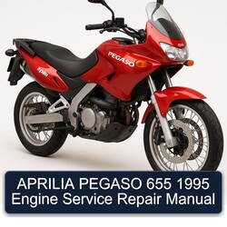 1995 Aprilia Pegaso Models 655 Engine Service Repair Workshop Manual PDF
