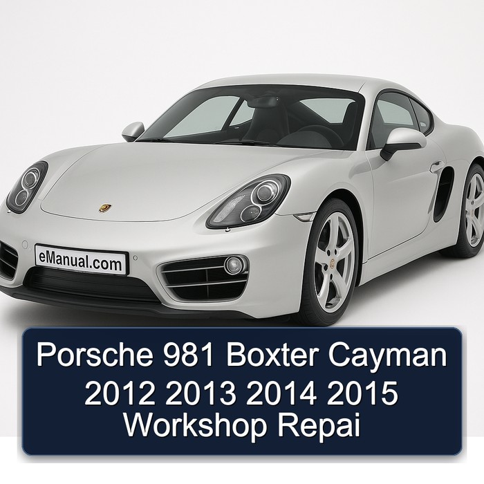 2012-2015 Porsche Cayman 981 Boxter Repai Service Repair Workshop Manual PDF
