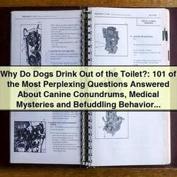 Why Do Dogs Drink Out of the Toilet?: 101 Canine Conundrums Answered by Gina Spadafori