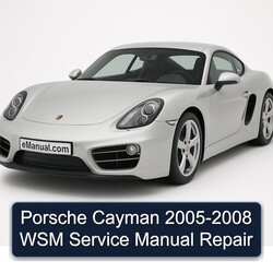 2005-2008 Porsche Cayman WSM Service Repair Workshop Manual PDF
