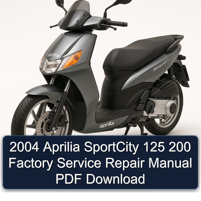 2004 Aprilia SportCity 125 200 Factory Manual de servicio y reparación PDF Download