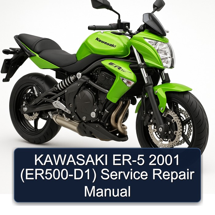 KAWASAKI ER-5 2001 (ER500-D1) Service Repair Manual