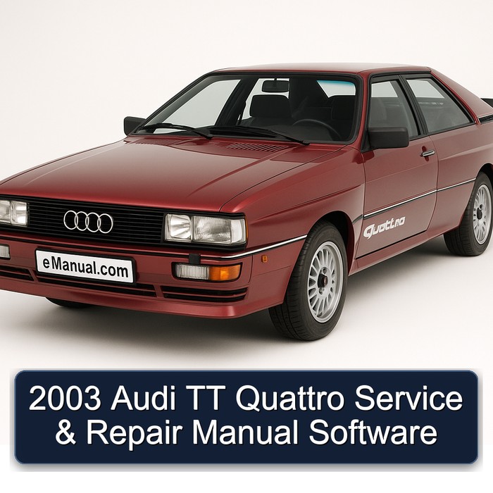2003 Audi TT Quattro Service & Repair Manual Software