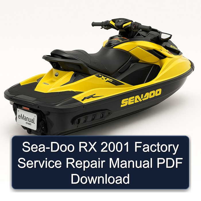 Sea-Doo RX 2001 Factory Service Repair Manual PDF Download