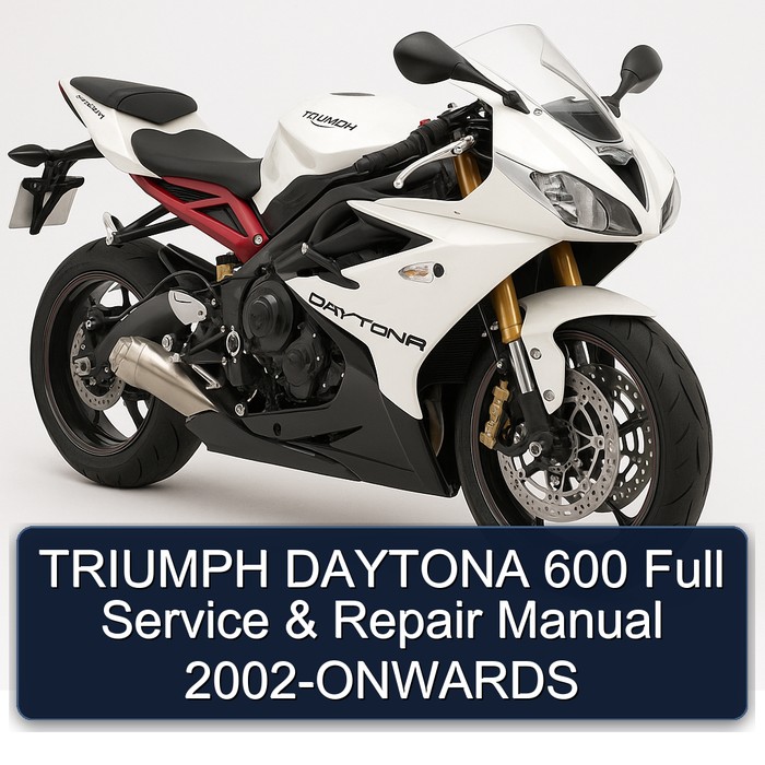TRIUMPH DAYTONA 600 Full Manual de servicio y reparación 2002-ONWARDS