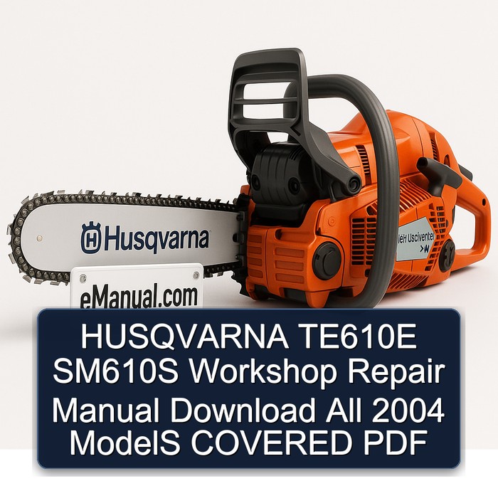 HUSQVARNA TE610E SM610S Workshop Repair Manual Download All 2004 ModelS COVERED PDF