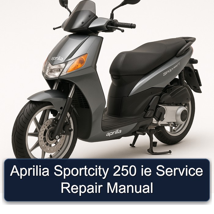 Aprilia Sportcity 250 ie Manual de servicio y reparación