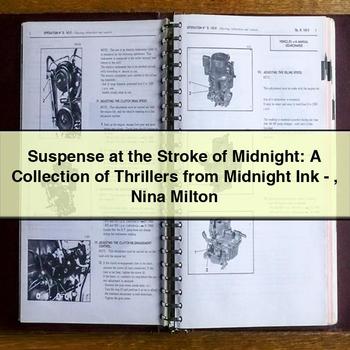 Suspense at the Stroke of Midnight: a Collection of Thrillers from Midnight Ink-Nina Milton PDF Download