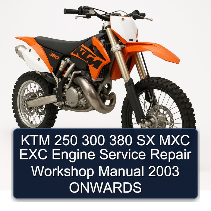 KTM 250 300 380 SX MXC EXC Engine Service Repair Workshop Manual 2003 ONWARDS