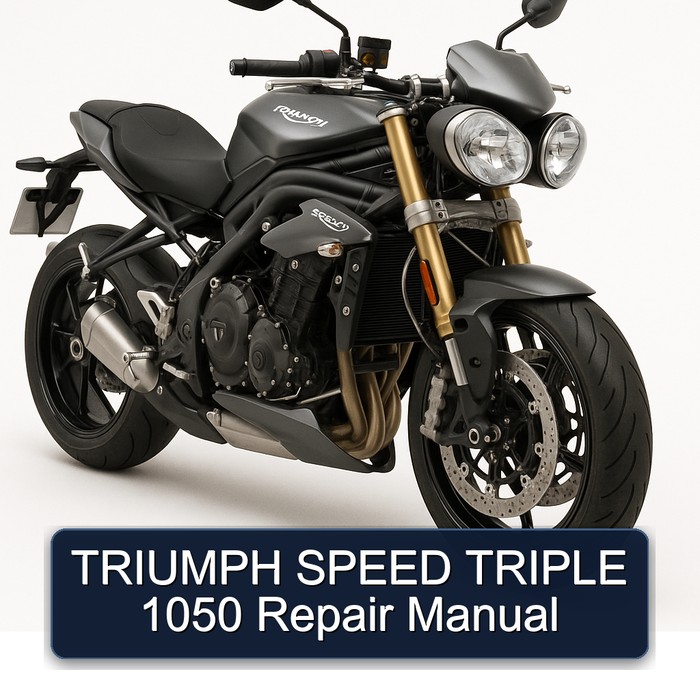 TRIUMPH SPEED TRIPLE 1050 Repair Manual