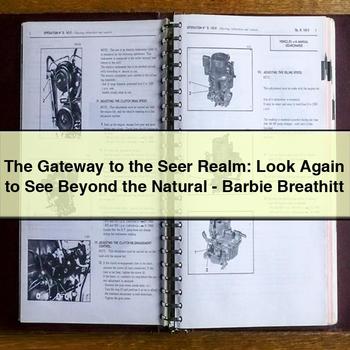 The Gateway to the Seer Realm: Look Again to See Beyond the Natural-Barbie Breathitt PDF Download