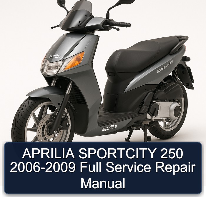 APRILIA SPORTCITY 250 2006-2009 Full Manual de servicio y reparación