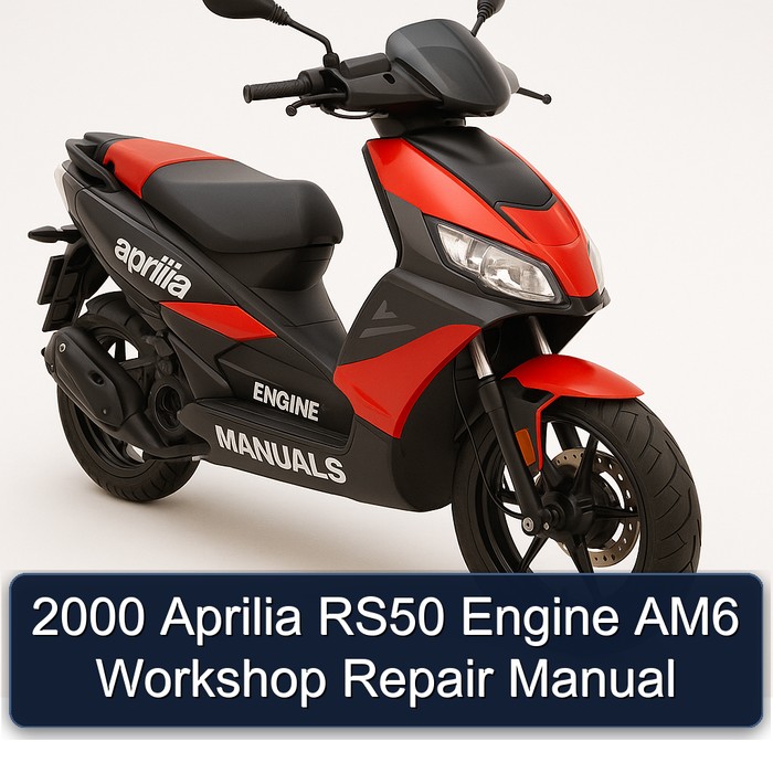 2000 Aprilia RS50 Engine AM6 Workshop Repair Manual