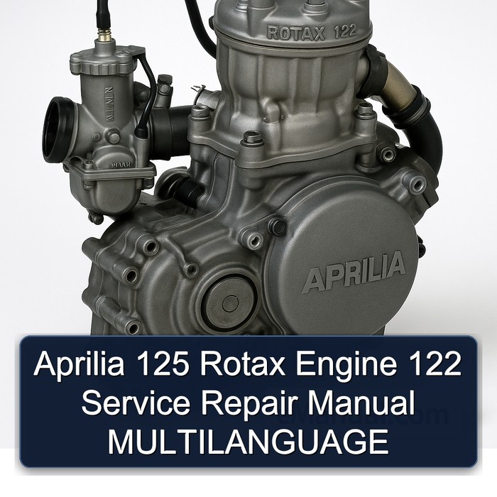 Manual de Reparación y Servicio Aprilia 125 Rotax 122 Multilingüe