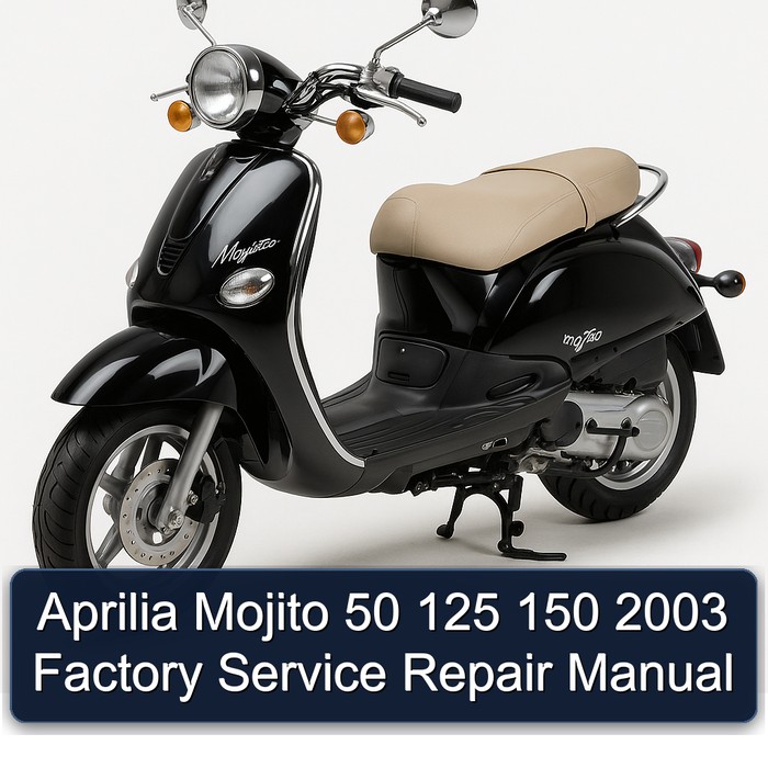 Aprilia Mojito 50 125 150 2003 Factory Manual de servicio y reparación