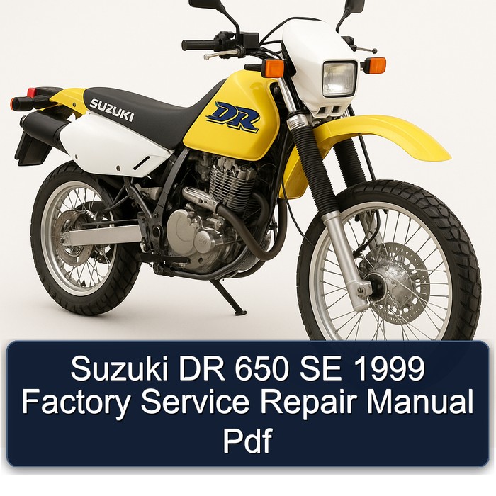 Suzuki DR 650 SE 1999 Factory Manual de servicio y reparación Pdf