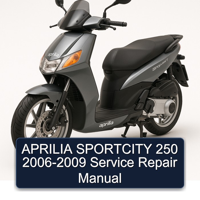 APRILIA SPORTCITY 250 2006-2009 Manual de servicio y reparación