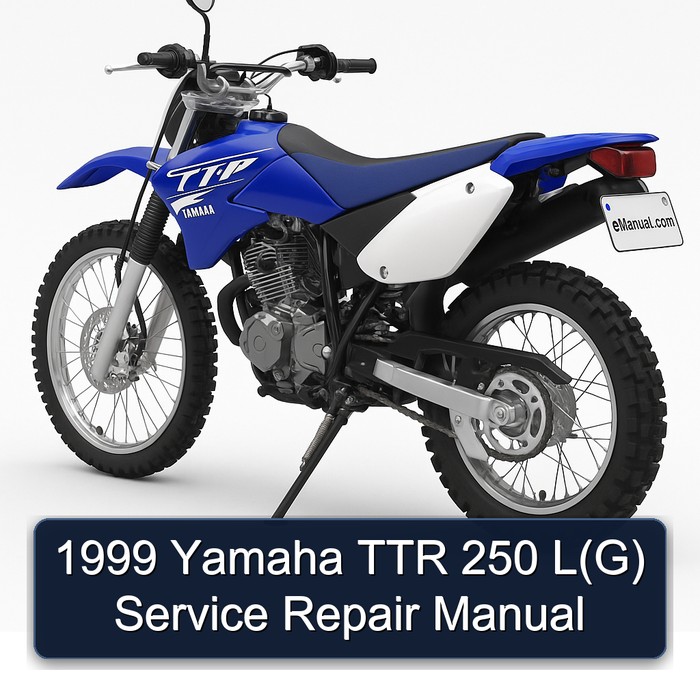 1999 Yamaha TTR 250 L(G) Service Repair Manual