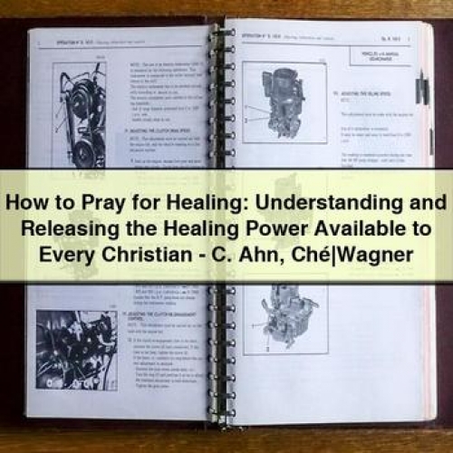 How to Pray for Healing: Understanding and Releasing the Healing Power Available to Every Christian - C. Ahn Ché|wagner PDF Download