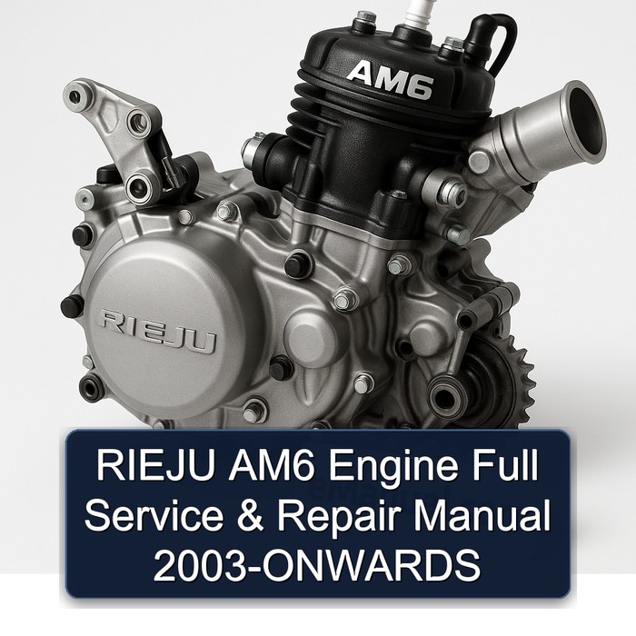 Manual de Servicio y Reparación Completo para Motor RIEJU AM6 (2003 en adelante)