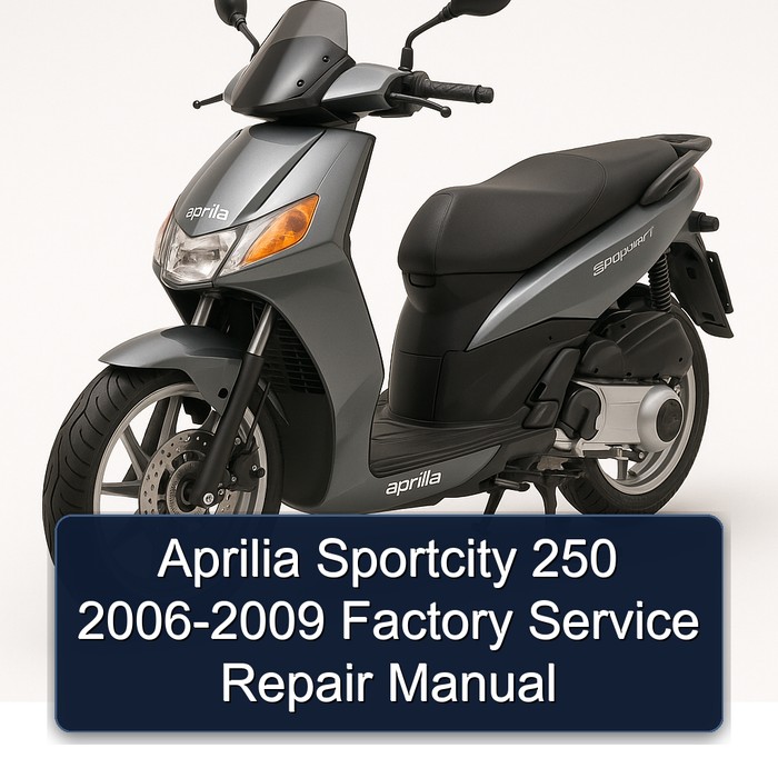Aprilia Sportcity 250 2006-2009 Factory Manual de servicio y reparación