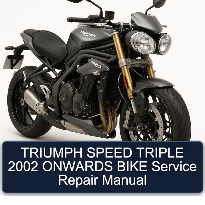 TRIUMPH SPEED TRIPLE 2002 ONWARDS BIKE Manual de servicio y reparación