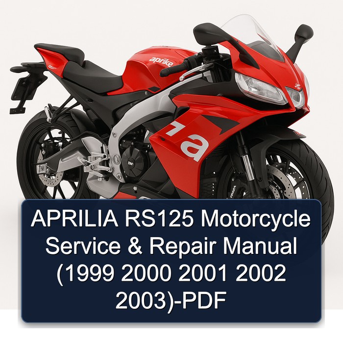 APRILIA RS125 Motorcycle Manual de servicio y reparación (1999 2000 2001 2002 2003)-PDF