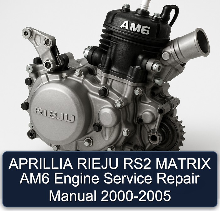 APRILLIA RIEJU RS2 MATRIX AM6 Engine Manual de servicio y reparación 2000-2005